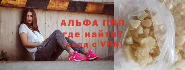 шишки Аркадак