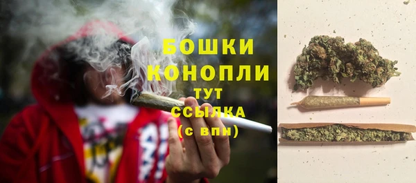 шишки Аркадак