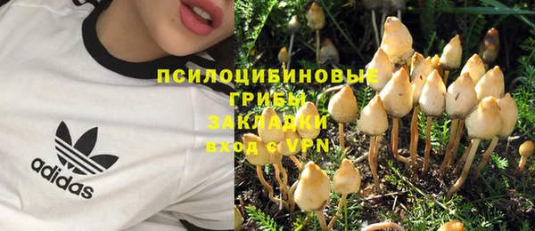 кокс Арсеньев