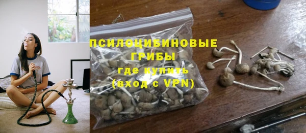ГАЛЛЮЦИНОГЕННЫЕ ГРИБЫ Баксан