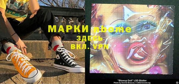 кокс Арсеньев